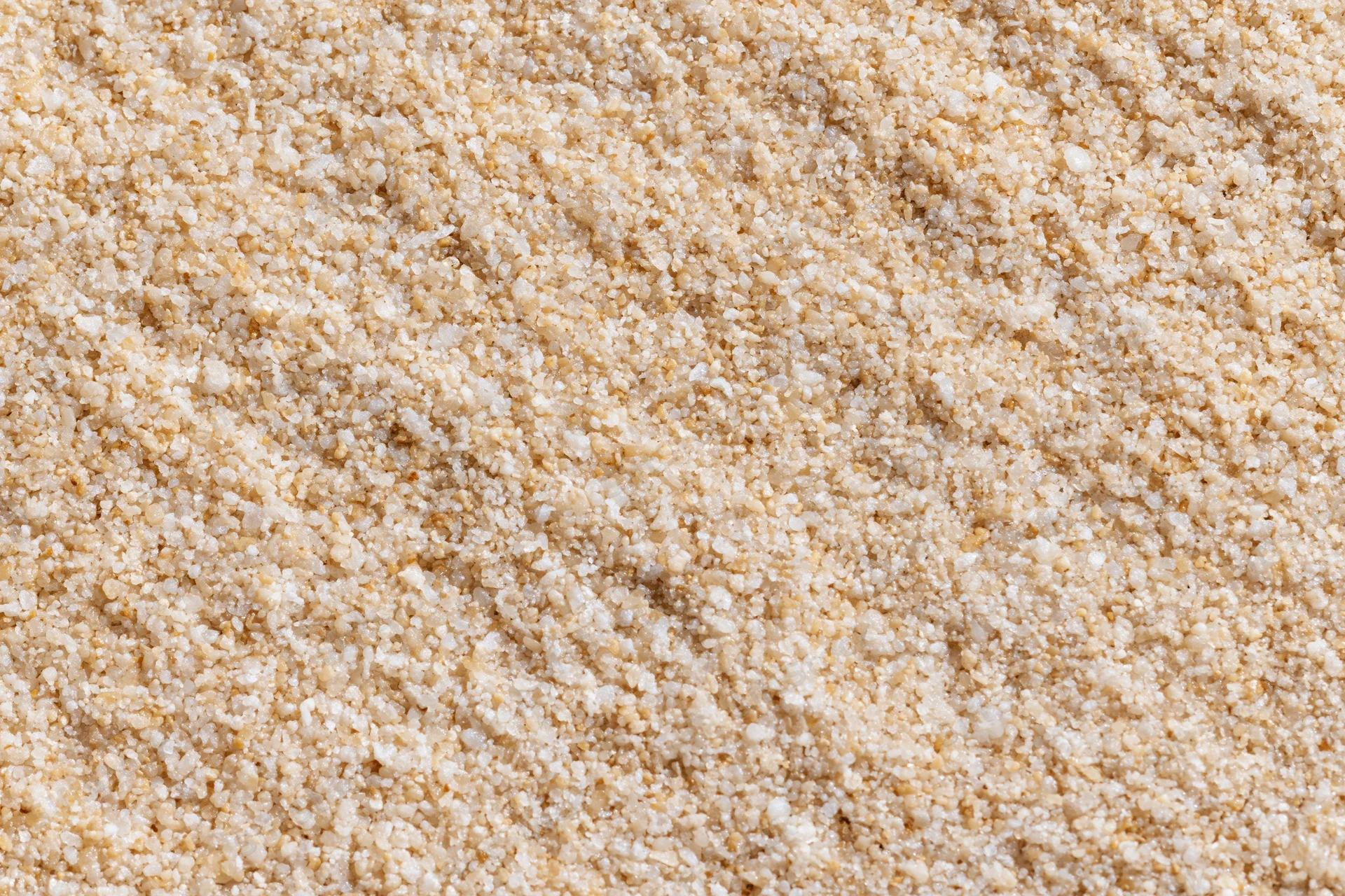 Closeup of dry bread crumbs filling the frame