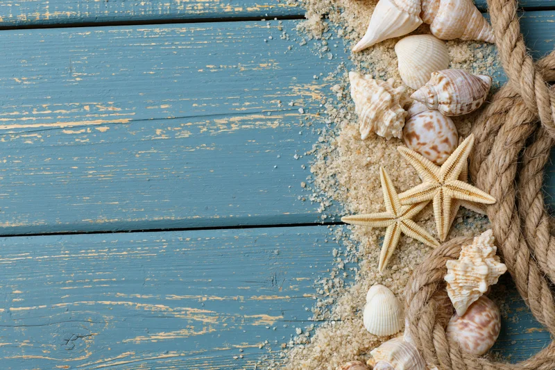 Seashells and starfish arranged with rope and sand on a blue weathered wooden surface