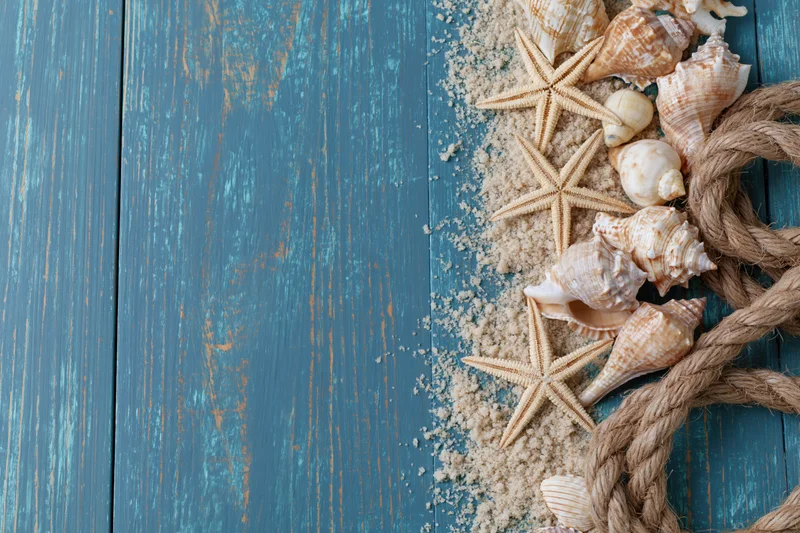 Seashells and starfish with rope and sand arranged on a blue weathered wooden surface