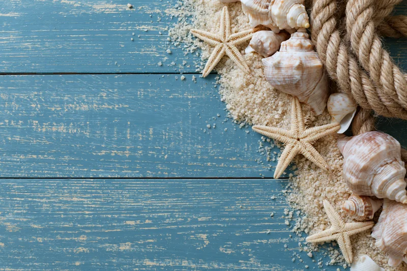 Seashells and starfish arranged with rope and sand on a blue weathered wooden surface