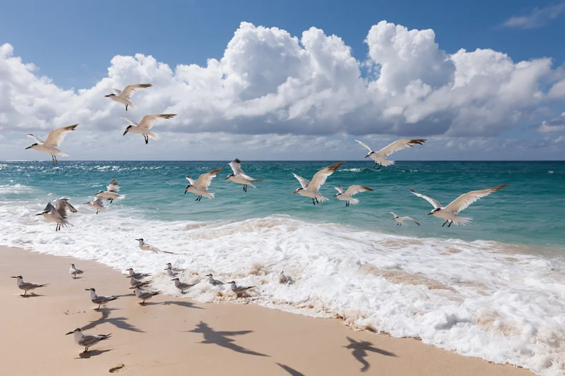 Seagulls flying over a sandy beach with waves and clouds above