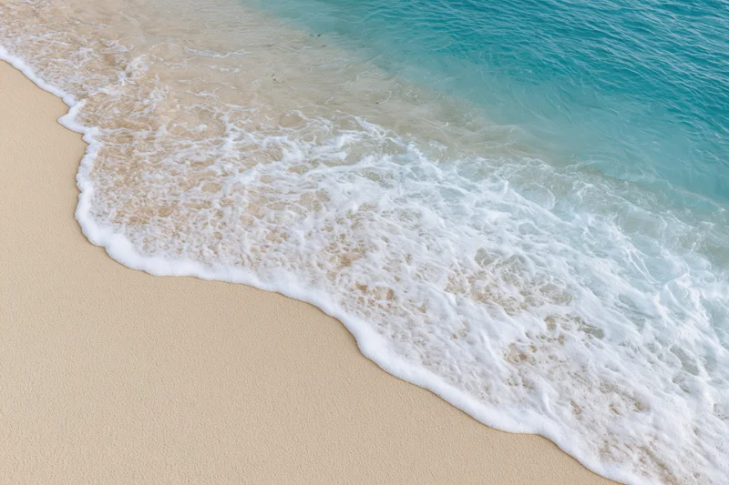 Gentle wave with white foam washing over golden sand at the shoreline