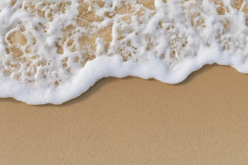 White foam from a wave washing over golden sand at the shoreline