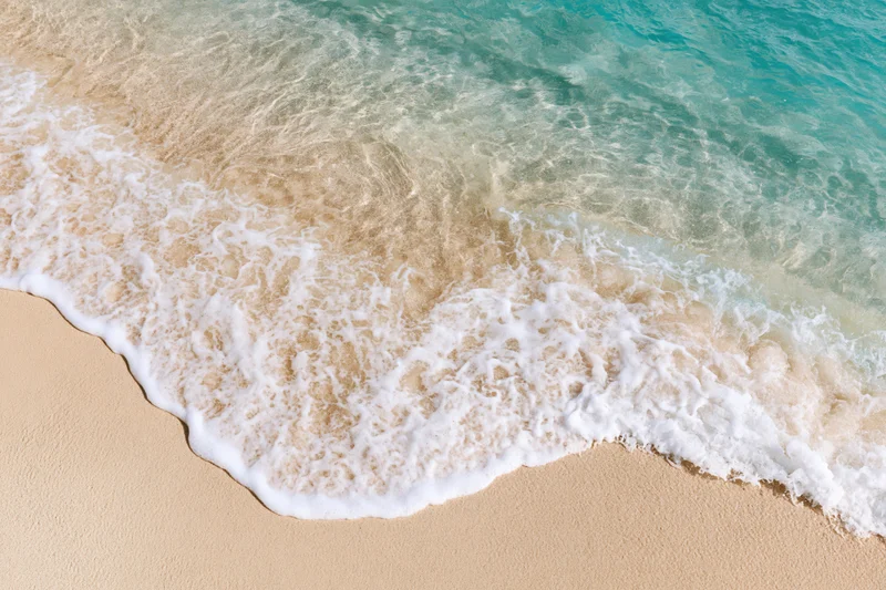 Gentle wave with white foam washing over golden sand at the shoreline