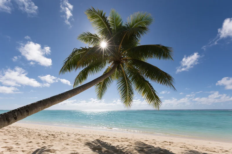 Palm tree leaning over sandy beach with turquoise ocean and blue sky