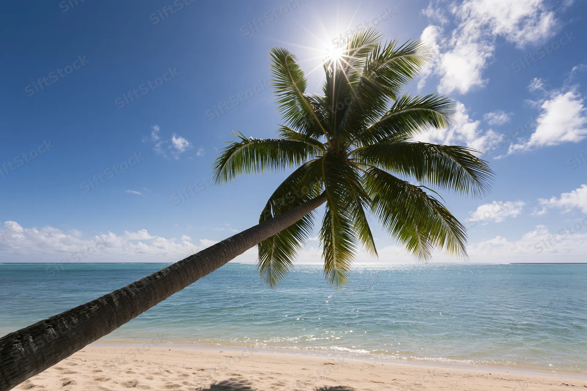 Palm tree leaning over sandy beach beside turquoise ocean under bright sun