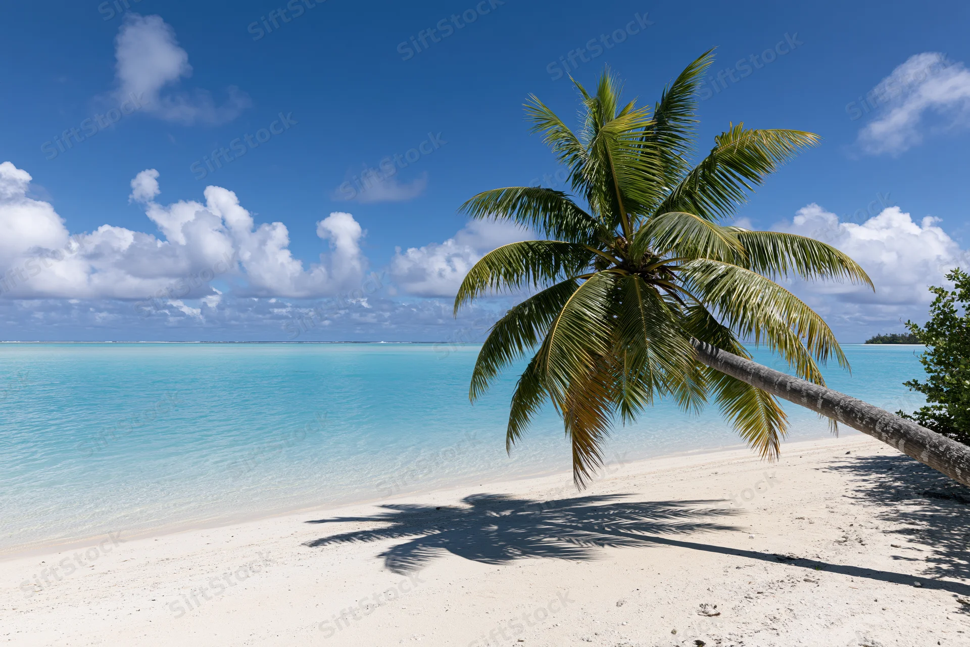Palm tree leaning over white sand beach beside turquoise ocean under blue sky with clouds