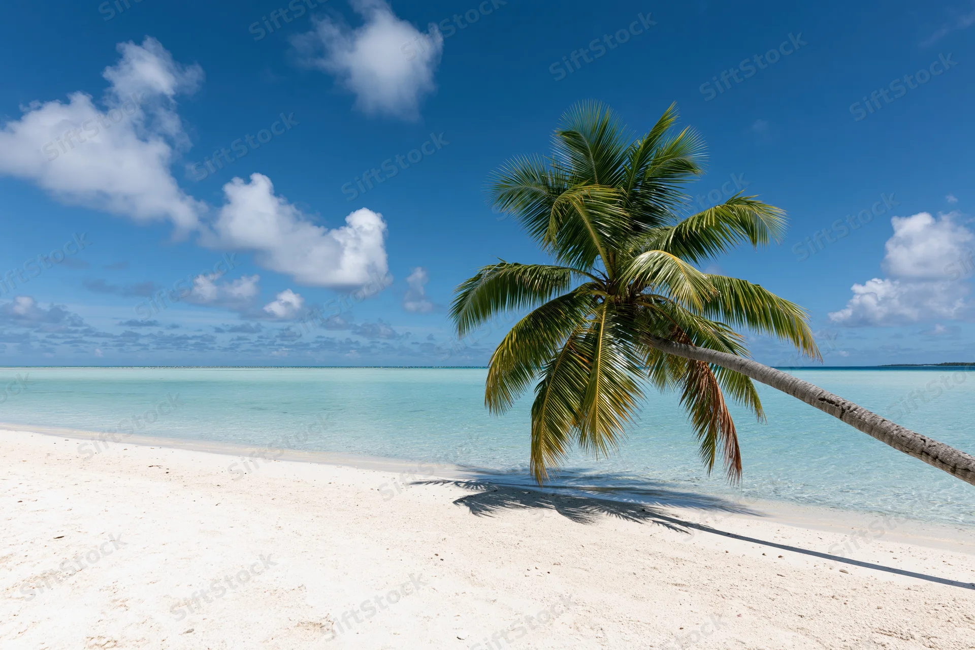 Palm tree leaning over white sand beach beside turquoise ocean under blue sky with clouds