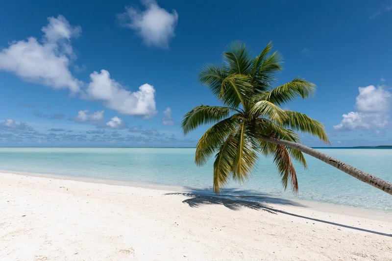 Palm tree leaning over white sand beach beside turquoise ocean under blue sky with clouds