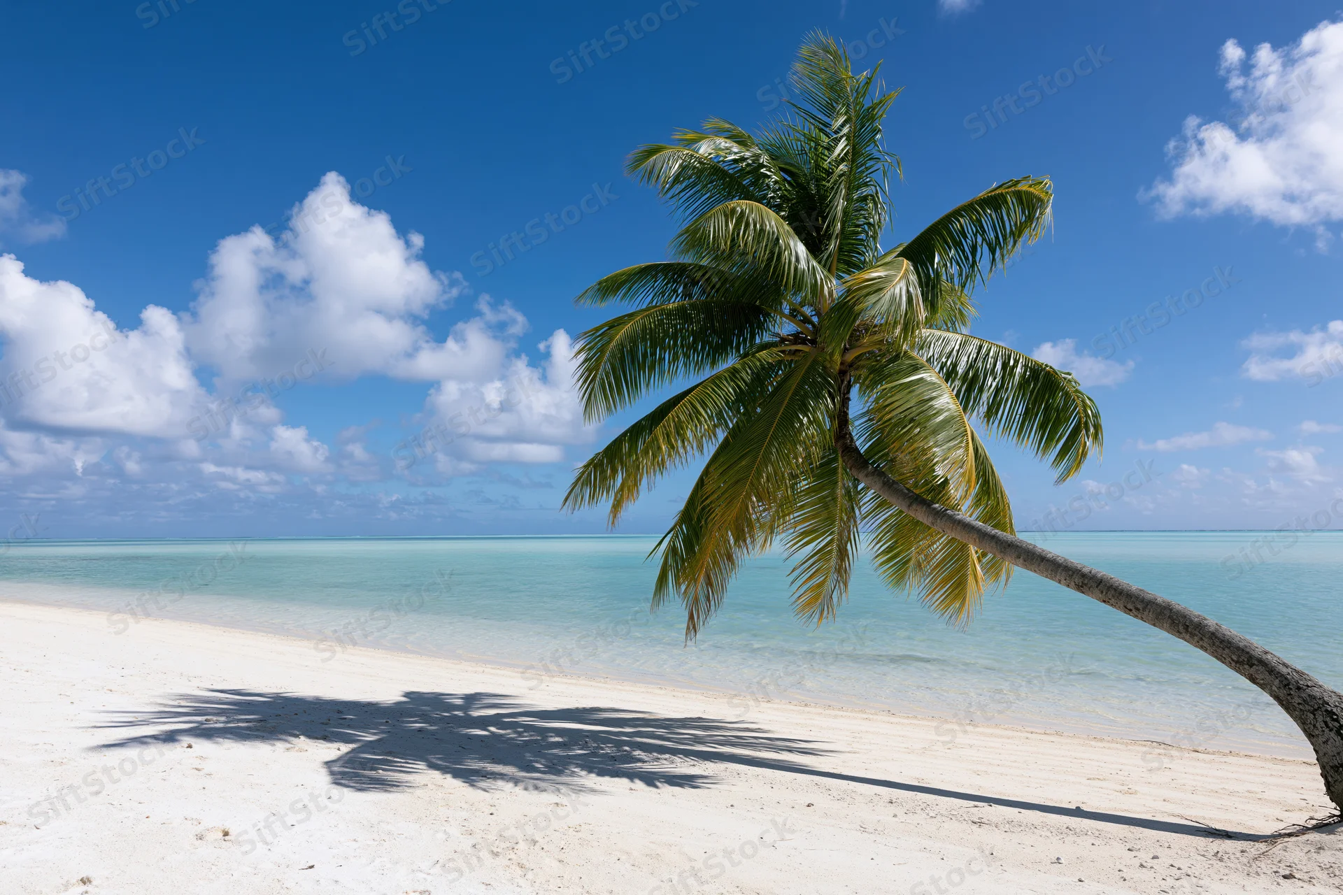 Palm tree leaning over white sand beach with turquoise ocean and blue sky