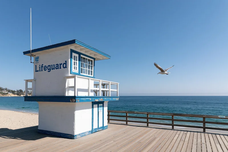 Lifeguard tower on wooden deck by ocean with seagull flying overhead