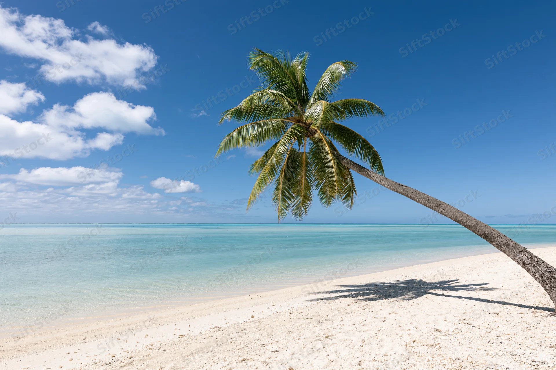 A leaning palm tree on a white sand beach beside turquoise ocean under blue sky with clouds