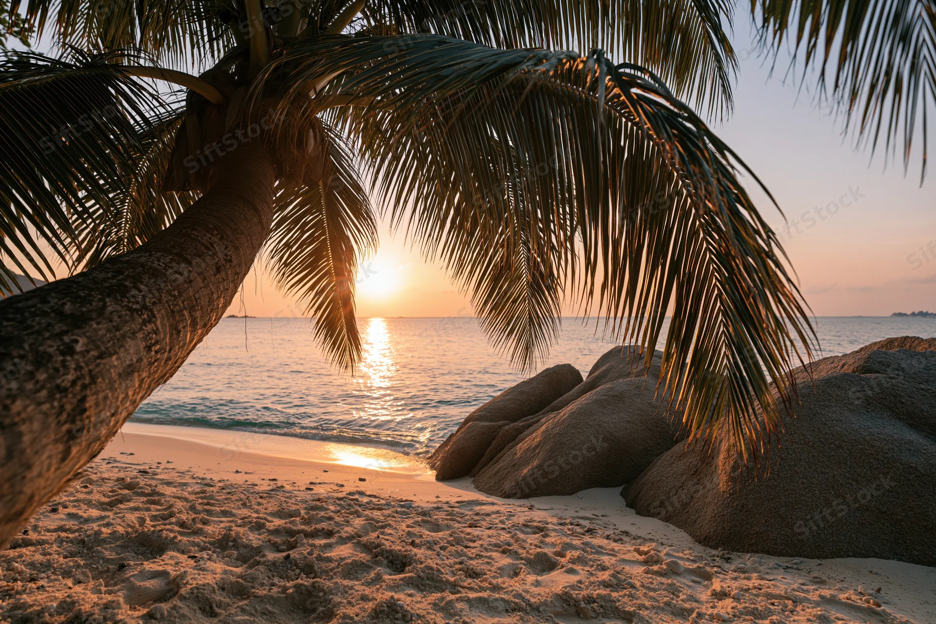 Palm tree framing sunset over ocean at tropical beach with rocks and sand