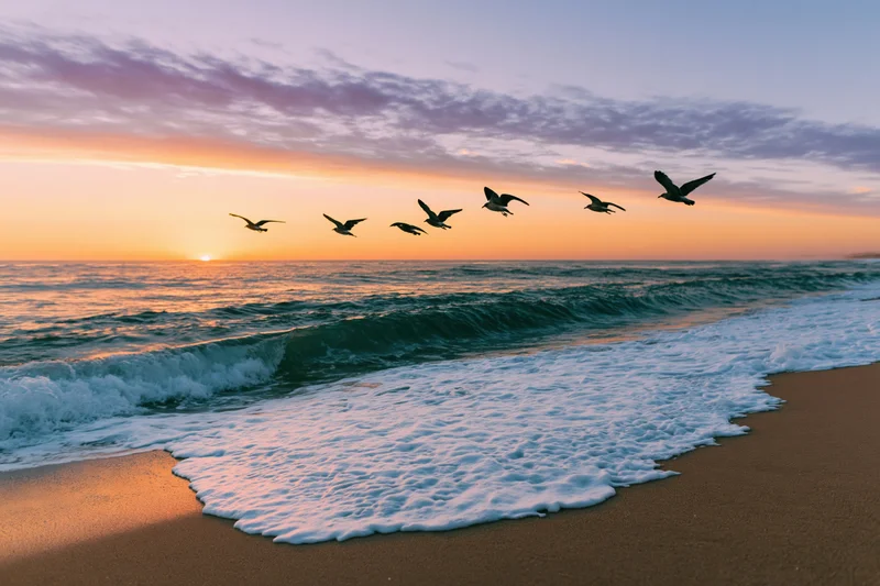 Seagulls flying in formation over ocean waves at sunset on sandy beach