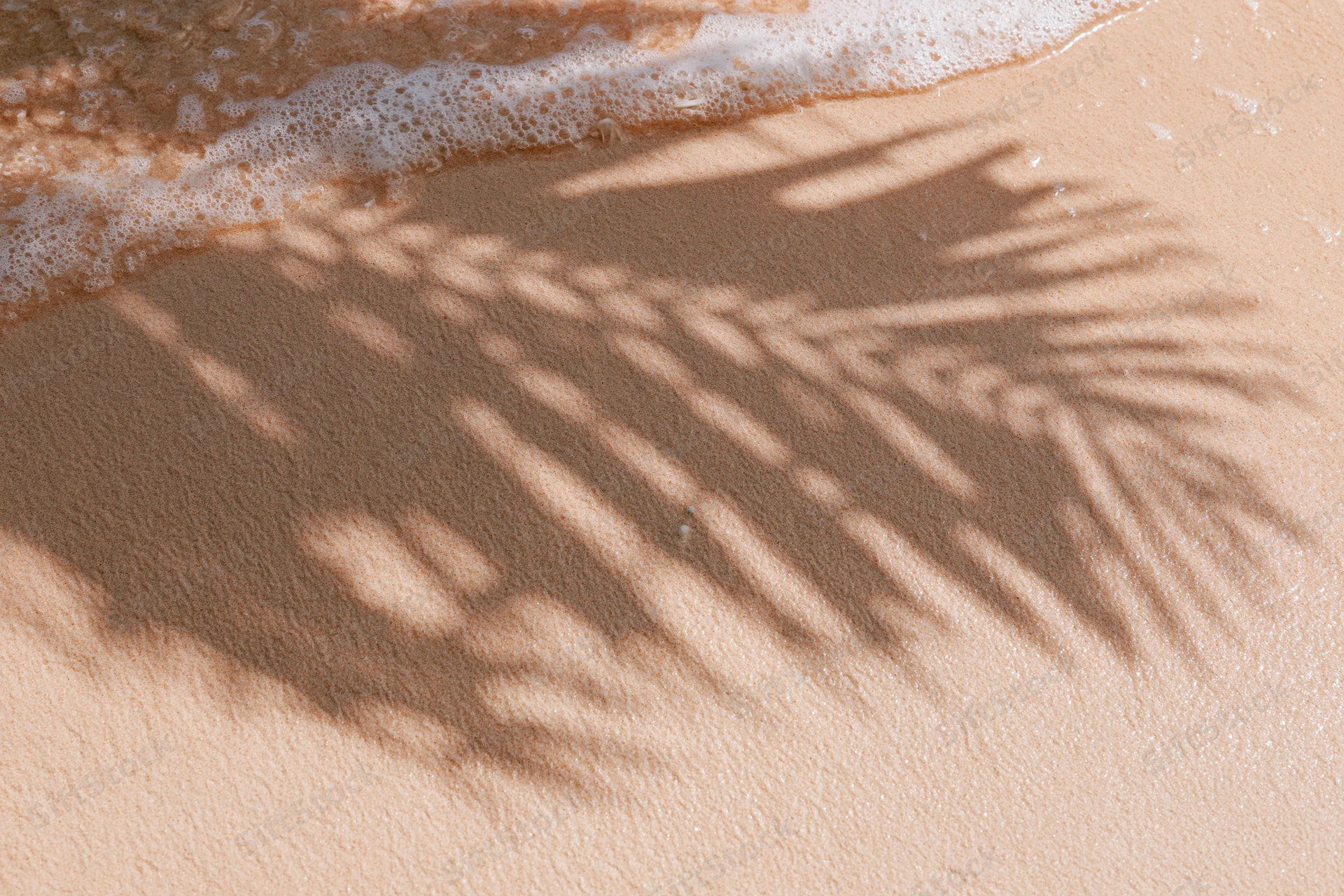 Shadow of palm frond on sandy beach with gentle wave foam at shoreline