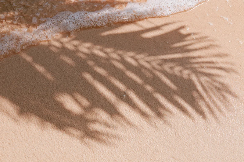 Shadow of palm frond on sandy beach with gentle wave foam at shoreline