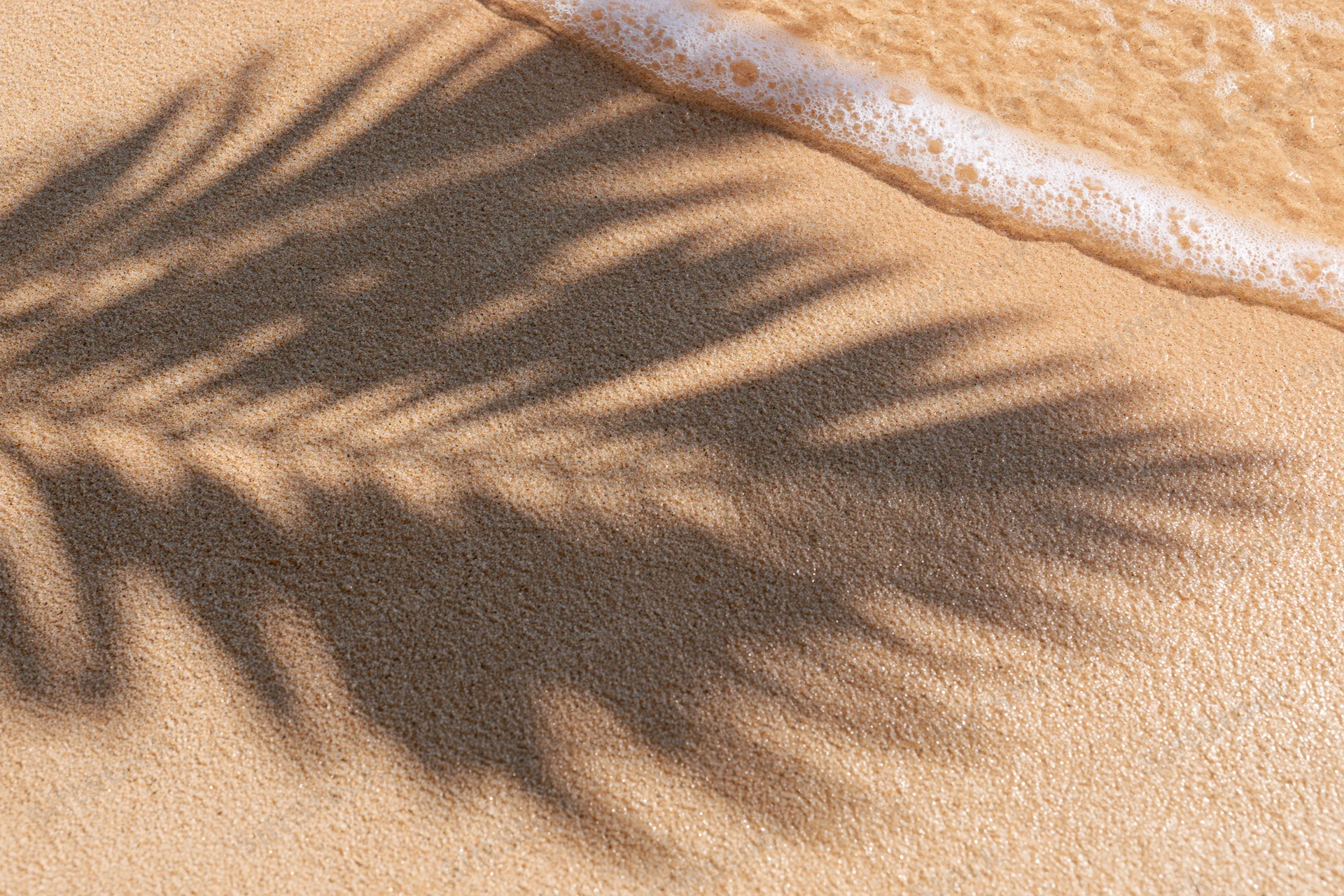 Palm shadow on golden sand at beach shoreline with foamy wave approaching