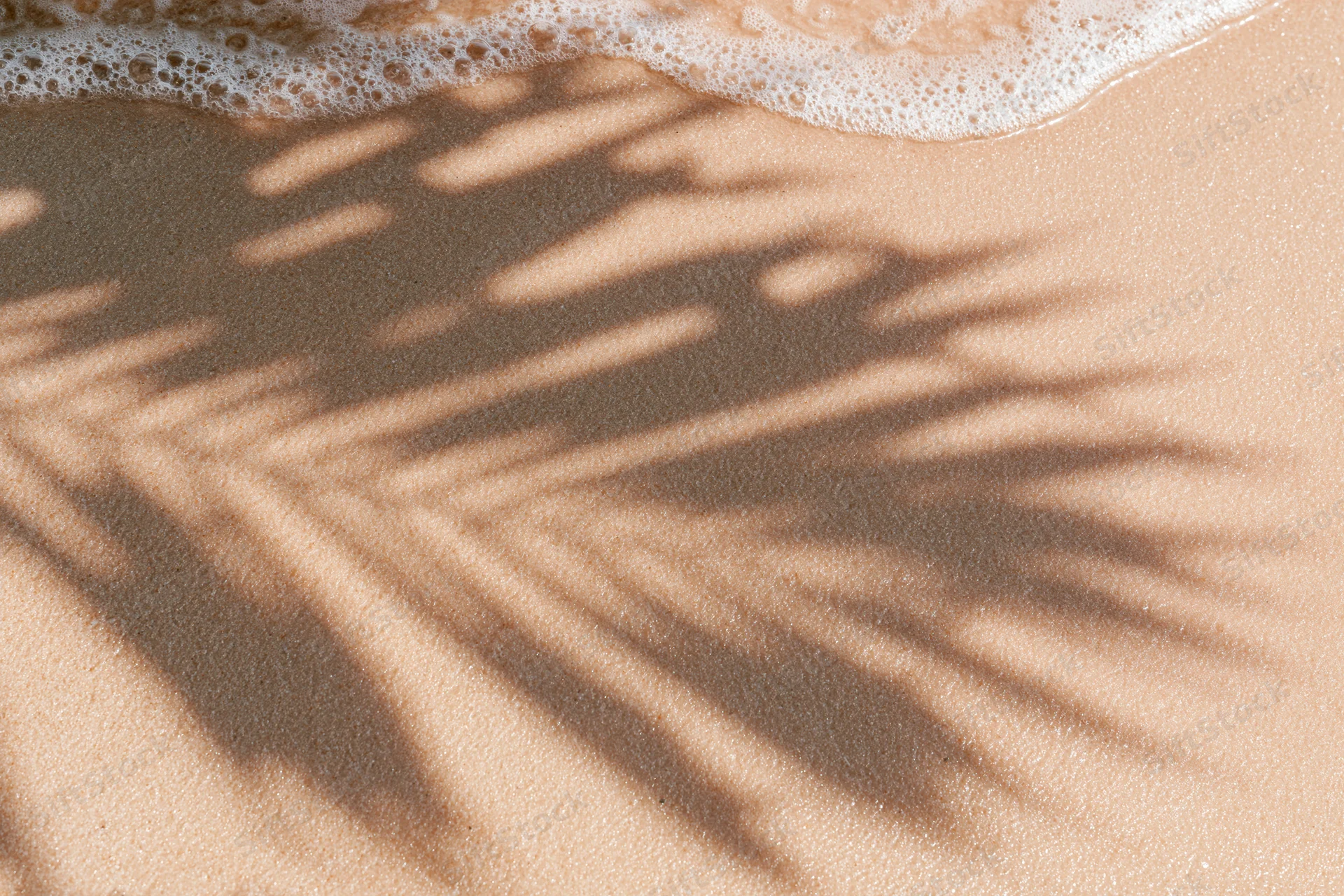 Palm shadow on wet sand at beach edge with foamy wave