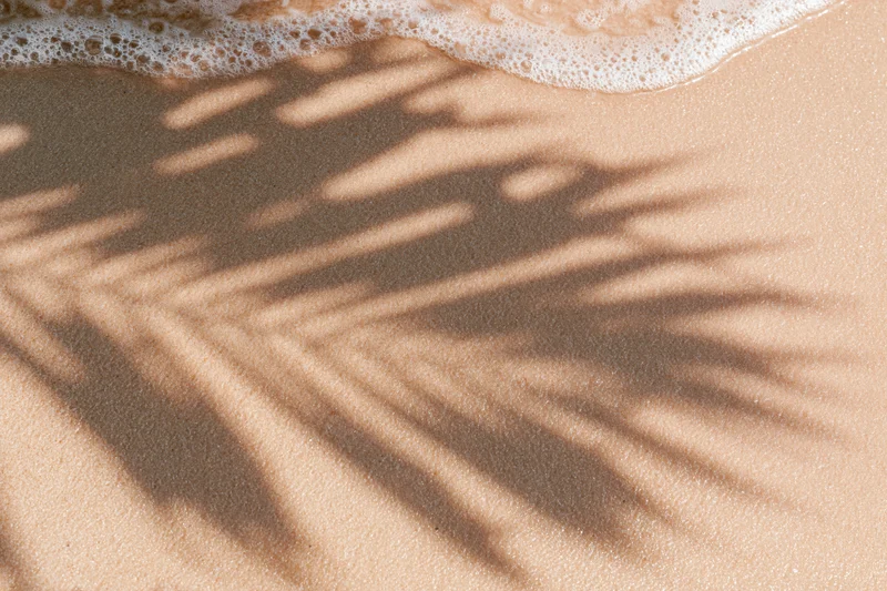 Palm shadow on wet sand at beach edge with foamy wave