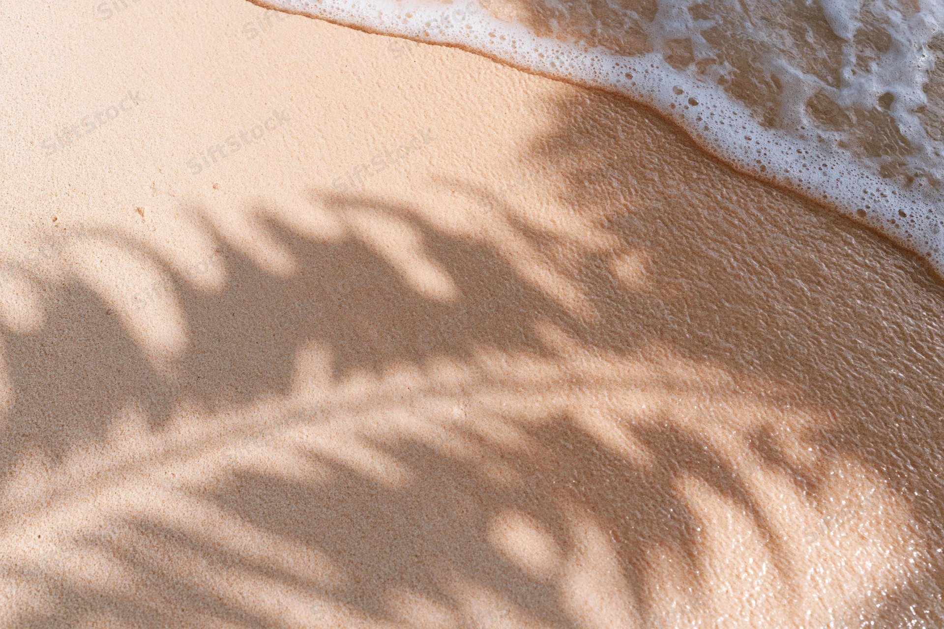Palm tree shadow on wet sand with gentle wave foam at tropical beach
