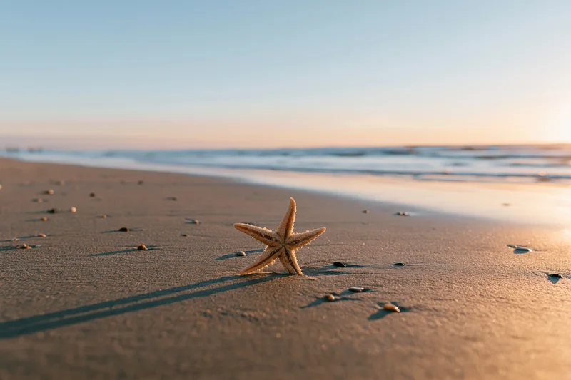 Starfish resting on sandy beach at sunset with ocean waves in background