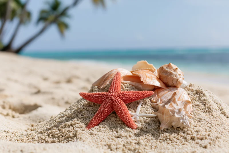 Red starfish and seashells arranged on sand mound at tropical beach with ocean and palm tree in background
