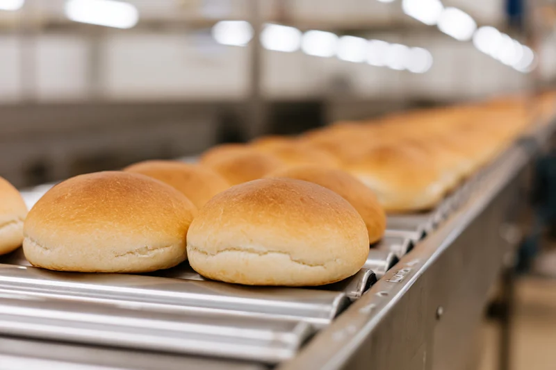 Freshly baked buns moving along a conveyor belt in a bakery production facility
