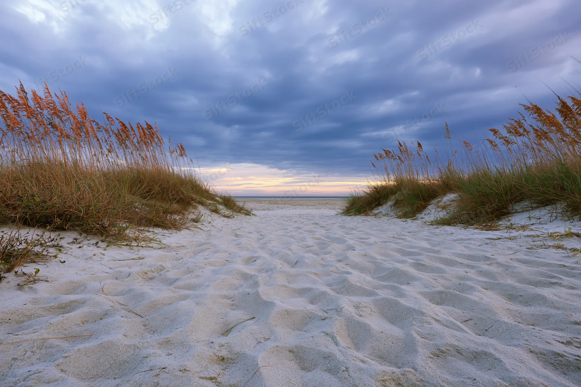 Sandy path between dunes with grass leading to ocean under cloudy sky at twilight
