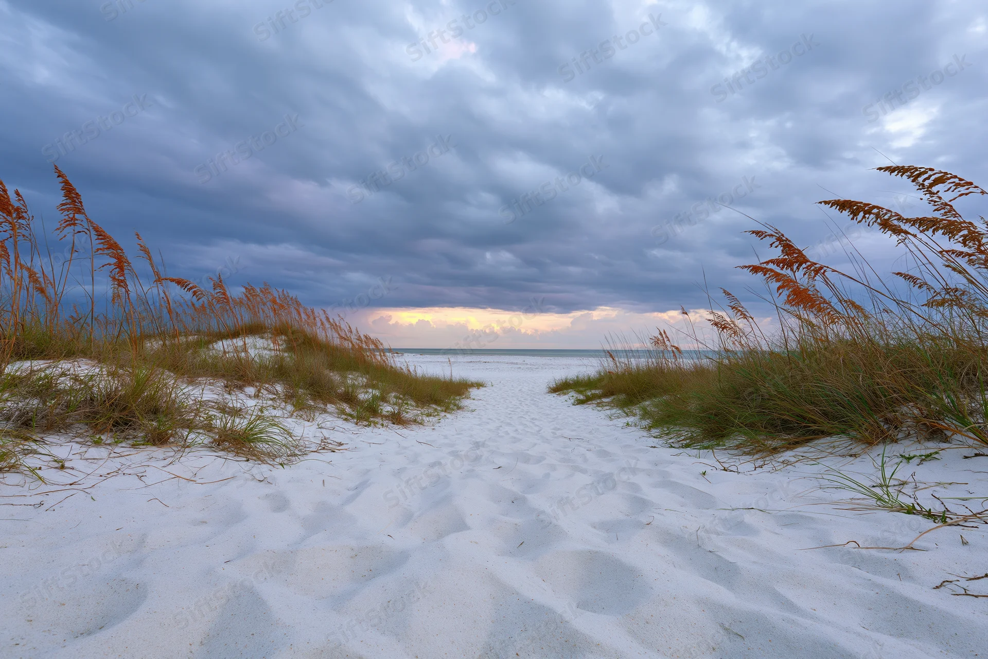 Sandy path through dunes with beach grass leading to ocean under cloudy sky at twilight