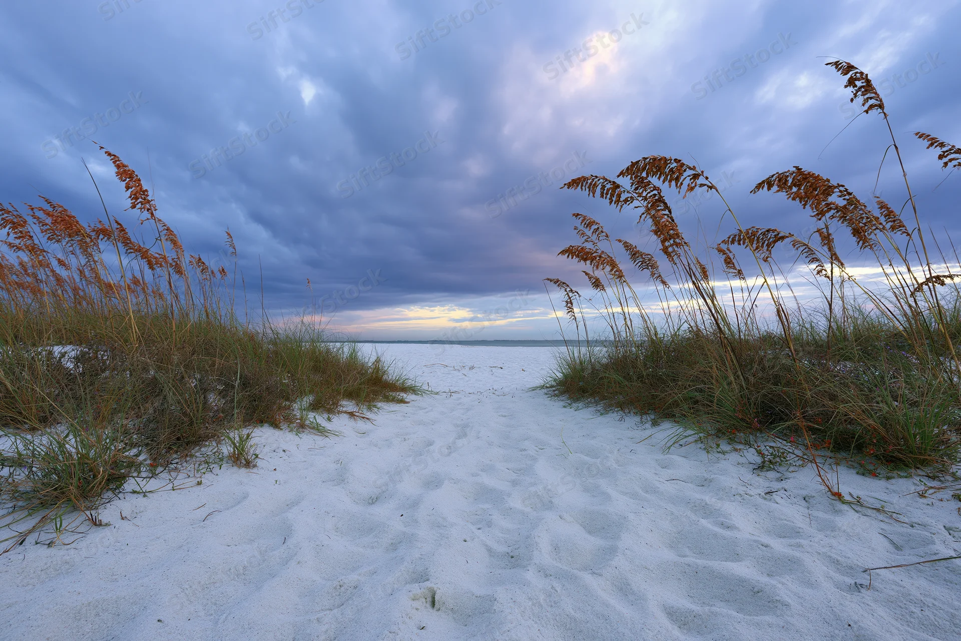 Sandy path between grassy dunes leading to the sea under a cloudy twilight sky