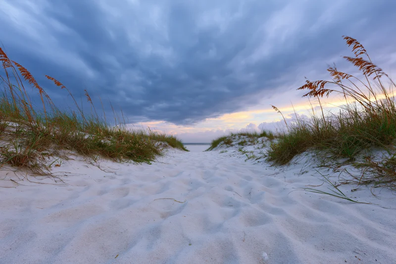 Sandy path between grassy dunes leading to ocean under cloudy twilight sky