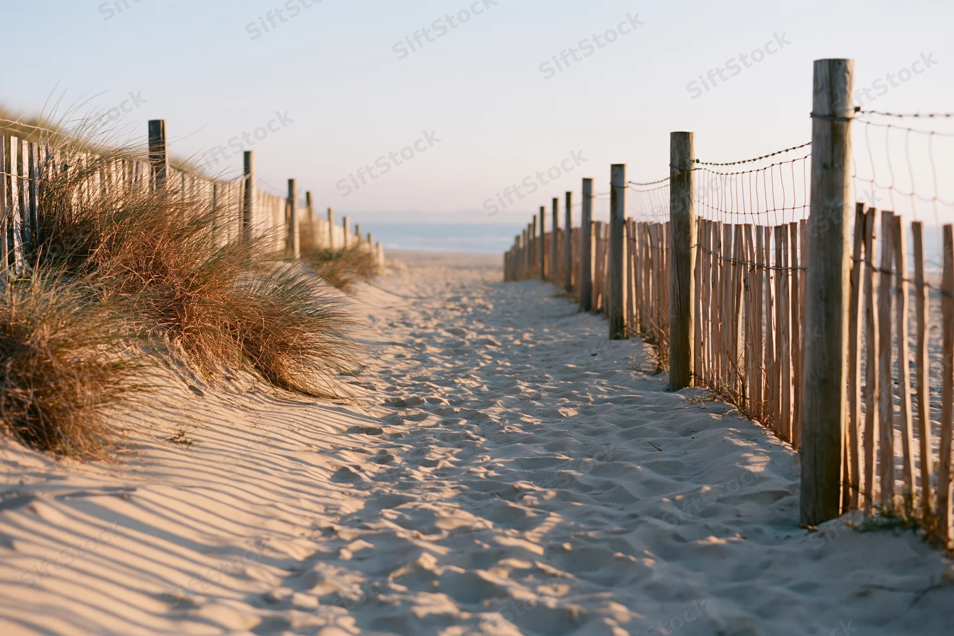 Sandy path between wooden fences leading to ocean at sunset