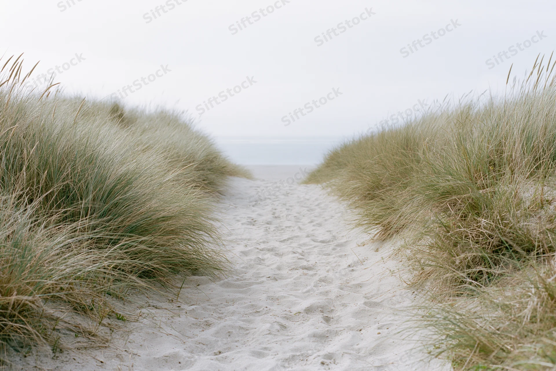 Sandy path through beach grass leading to ocean under overcast sky