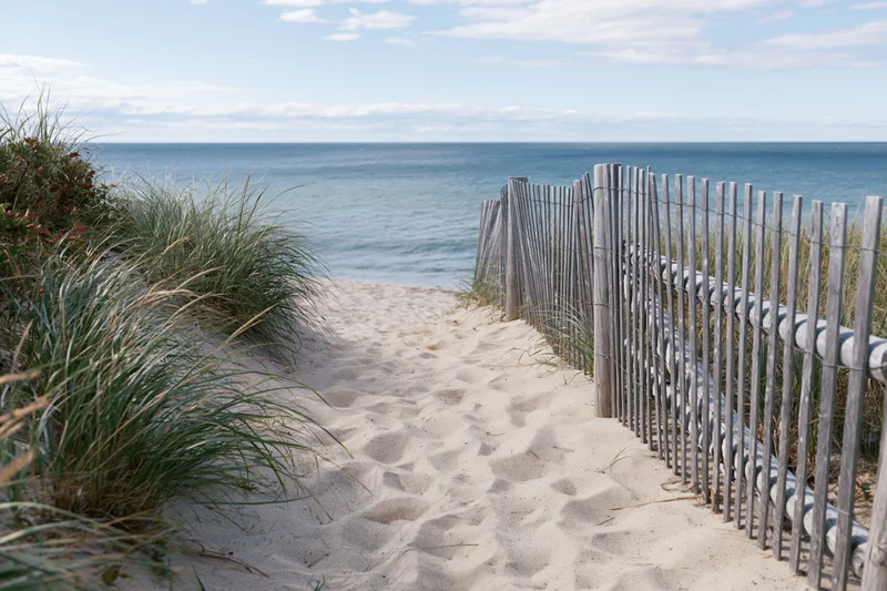 Sandy path leading to ocean bordered by wooden fence and beach grass