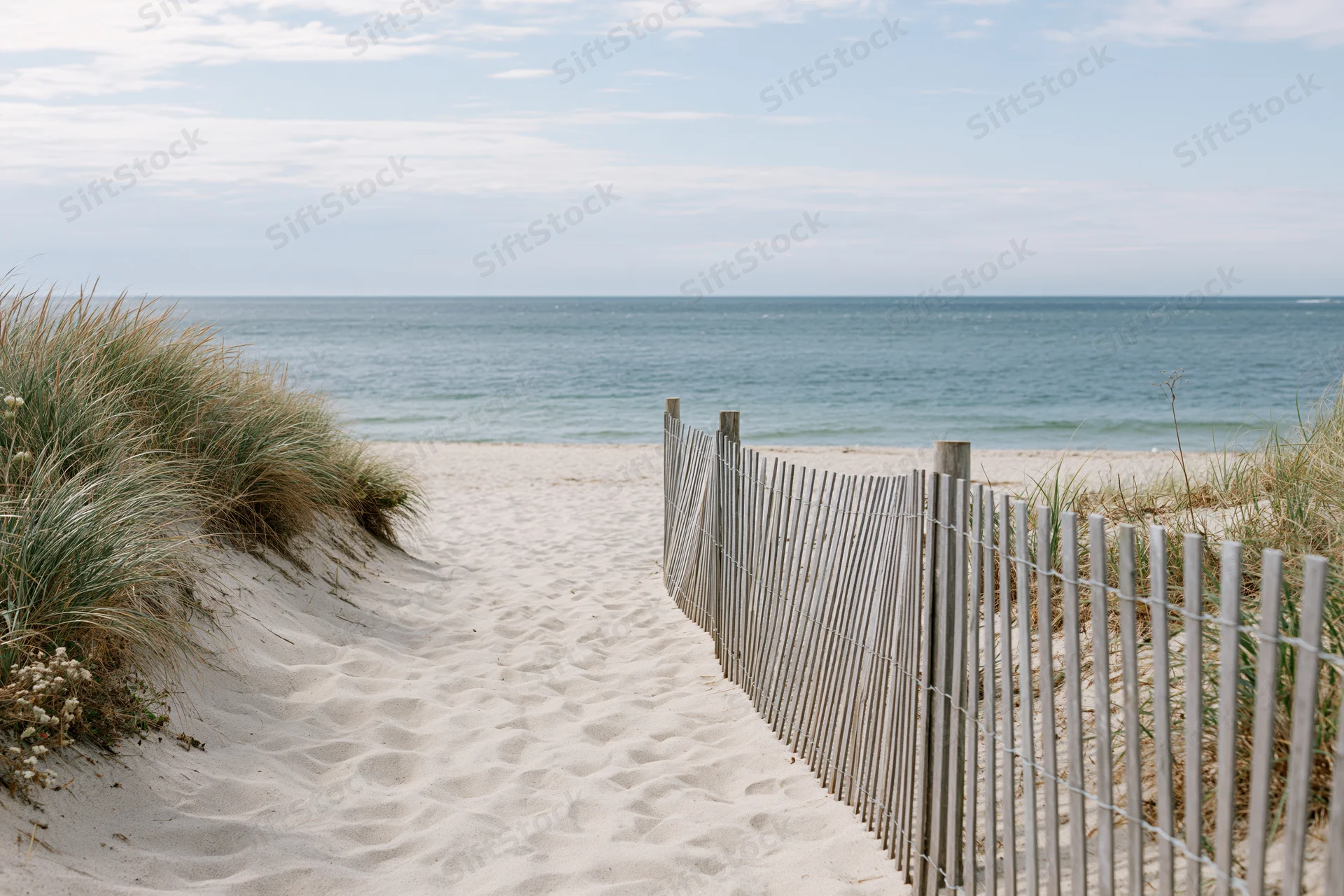 Sandy path leading to ocean through dune grass beside wooden fence