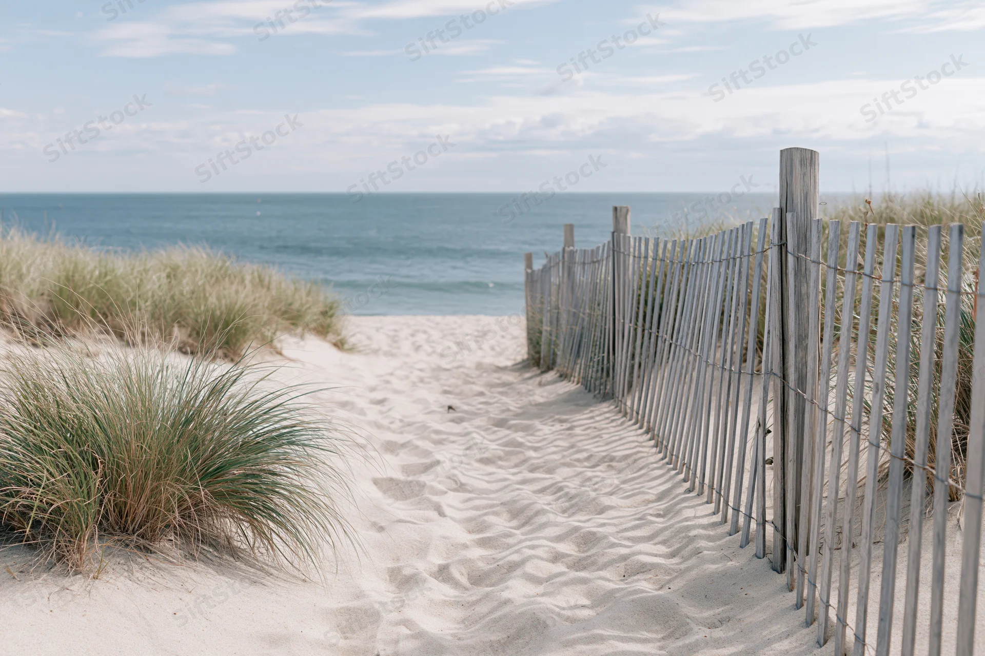 Sandy path lined with wooden fence and dune grass leading to ocean shoreline