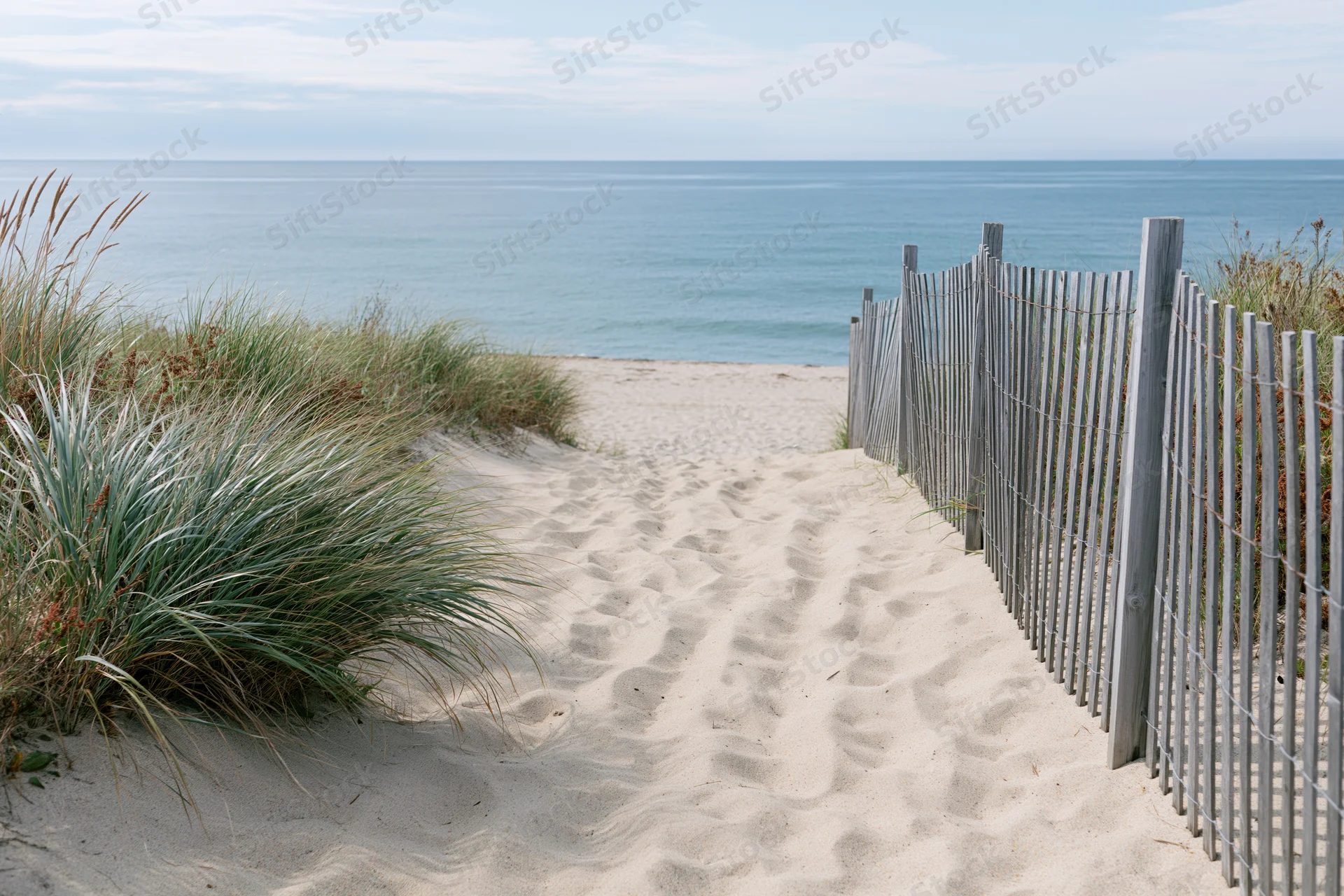 Sandy pathway leading to ocean through dunes with wooden fence and grasses on either side