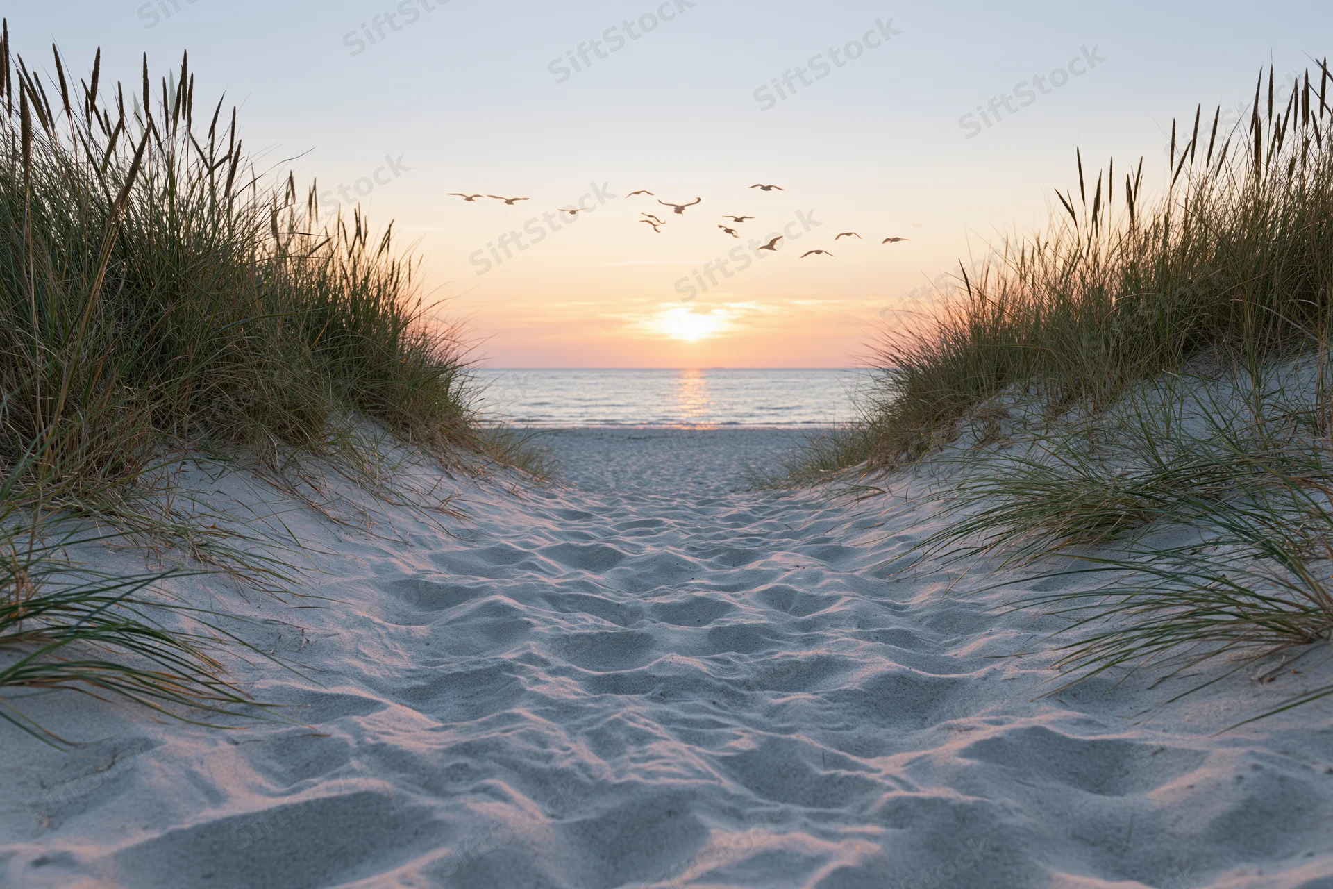 Sandy path between dunes leading to ocean at sunset with birds flying overhead