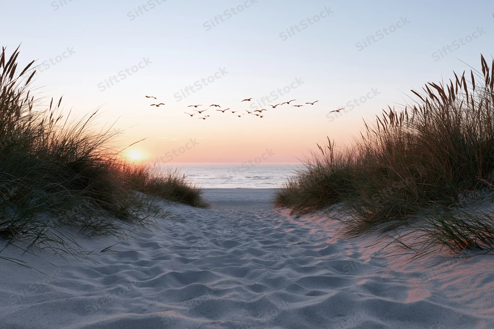 Sandy path between dunes leading to ocean at sunset with birds flying overhead