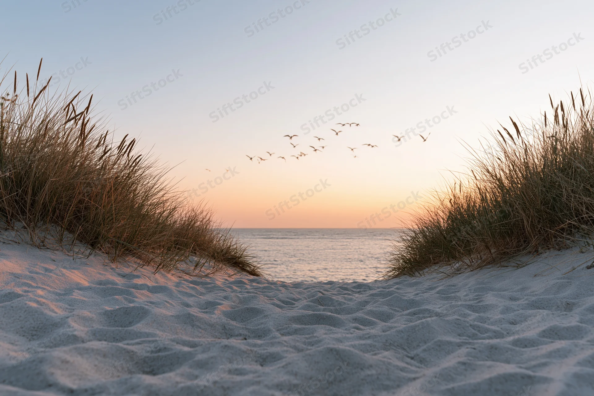 Sandy beach path between dunes leading to ocean at sunset with birds flying overhead