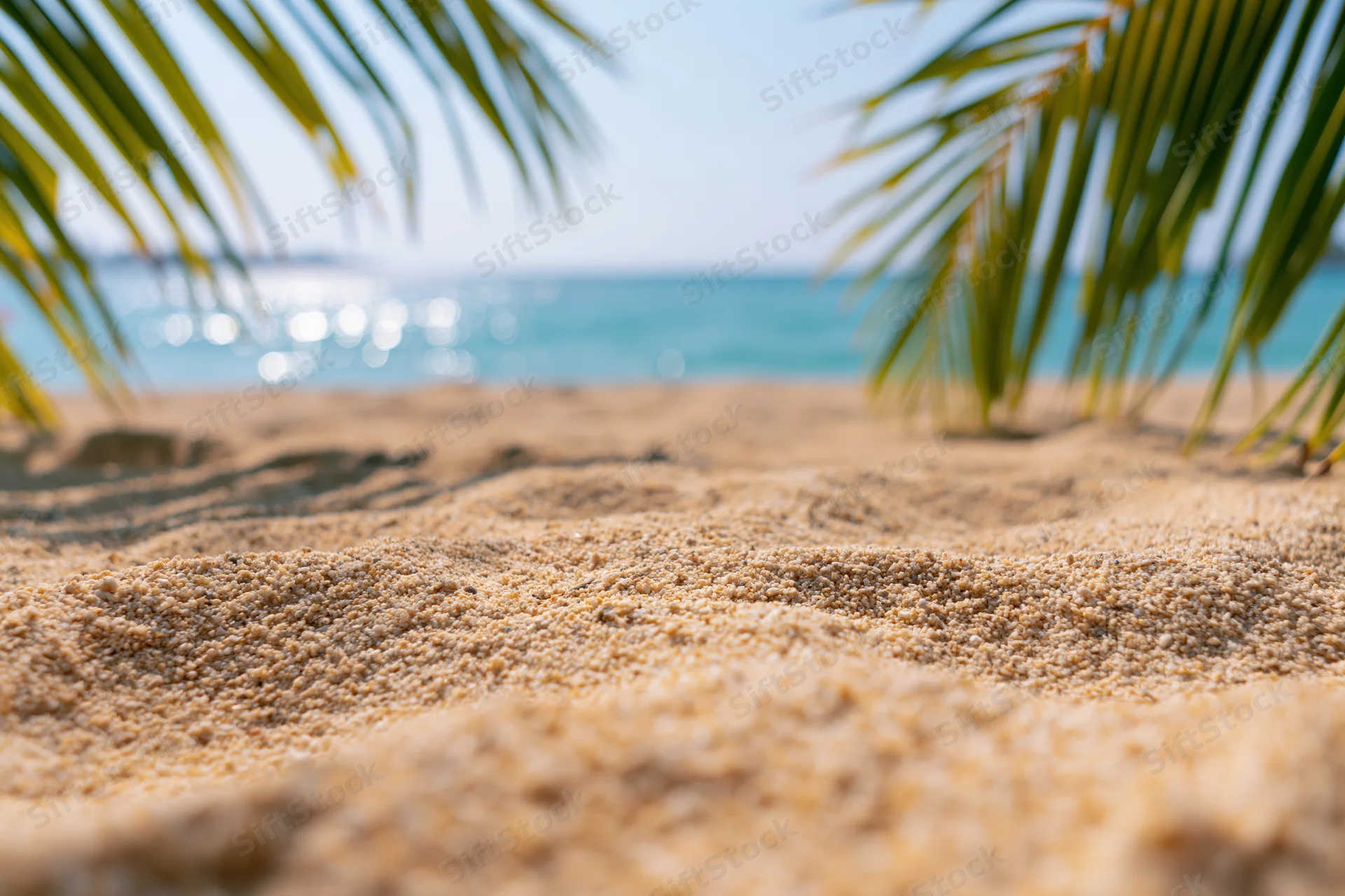Closeup of golden sand on a tropical beach framed by palm fronds with ocean in background