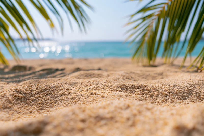 Closeup of golden sand on a tropical beach framed by palm fronds with ocean in background