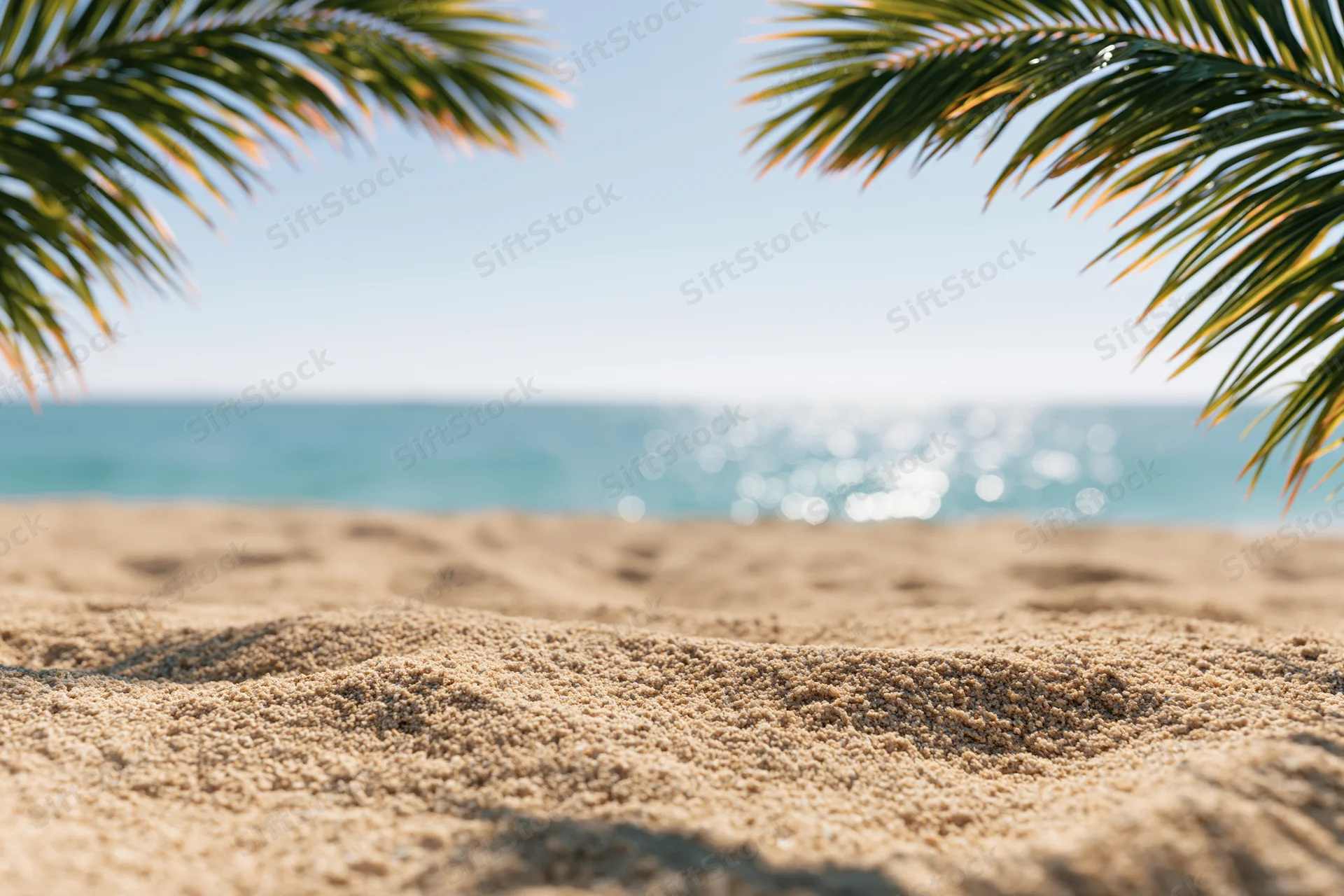 Sandy beach under palm fronds with ocean in background