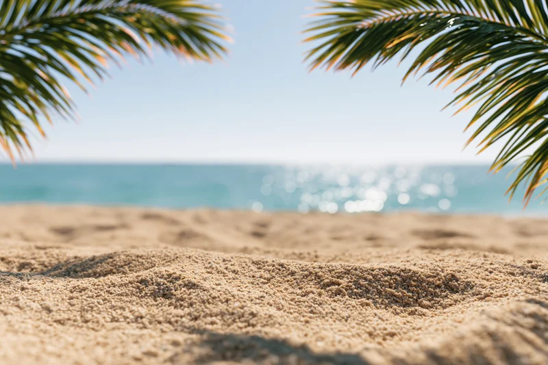 Sandy beach under palm fronds with ocean in background