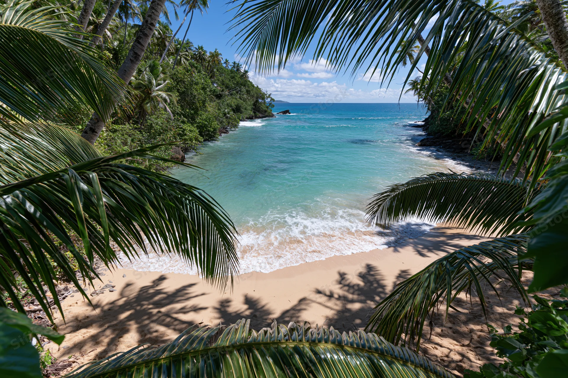 Tropical beach framed by palm fronds with turquoise water and sandy shore under sunny sky