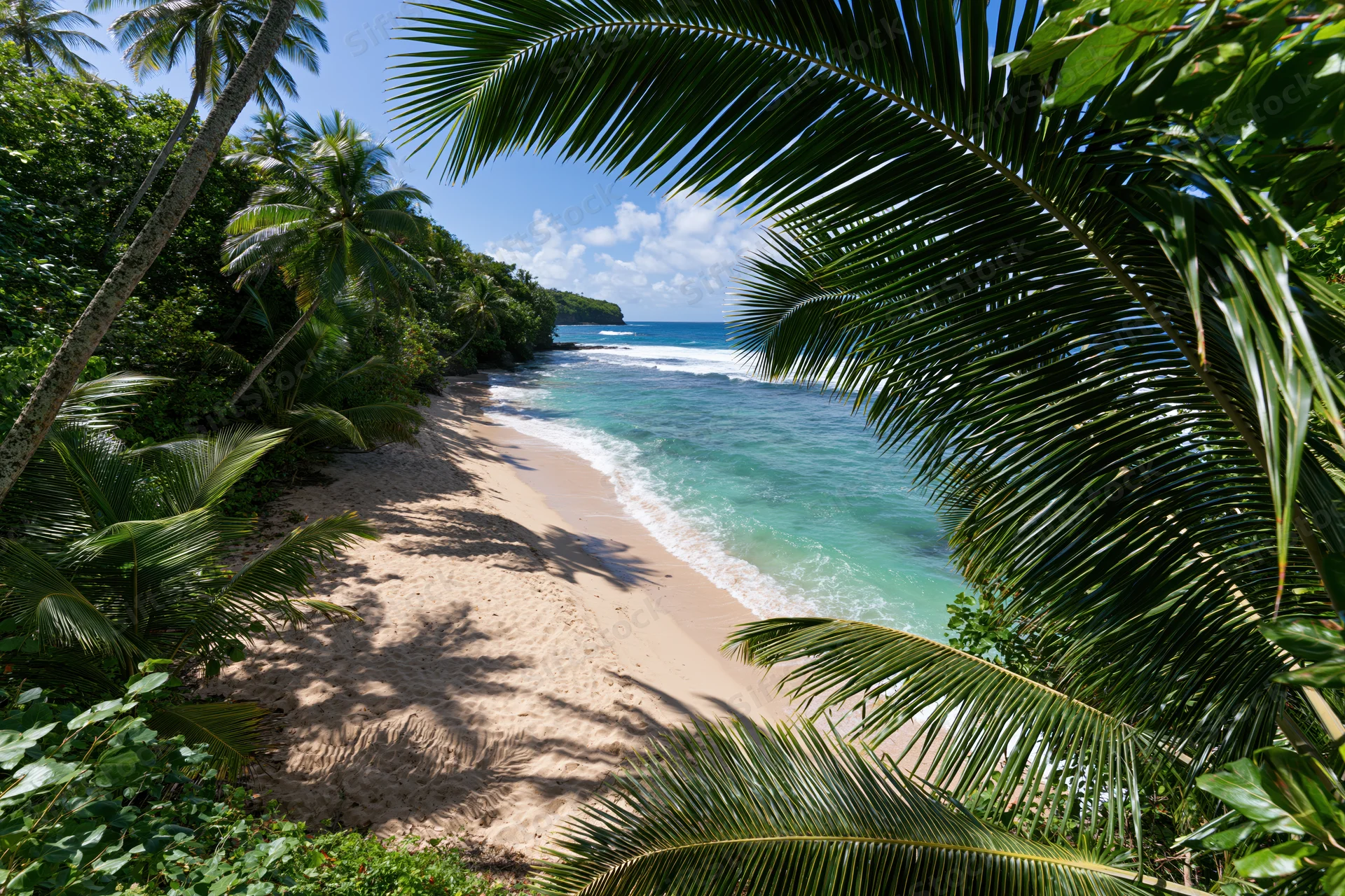 Tropical beach framed by palm fronds with turquoise ocean and sandy shore