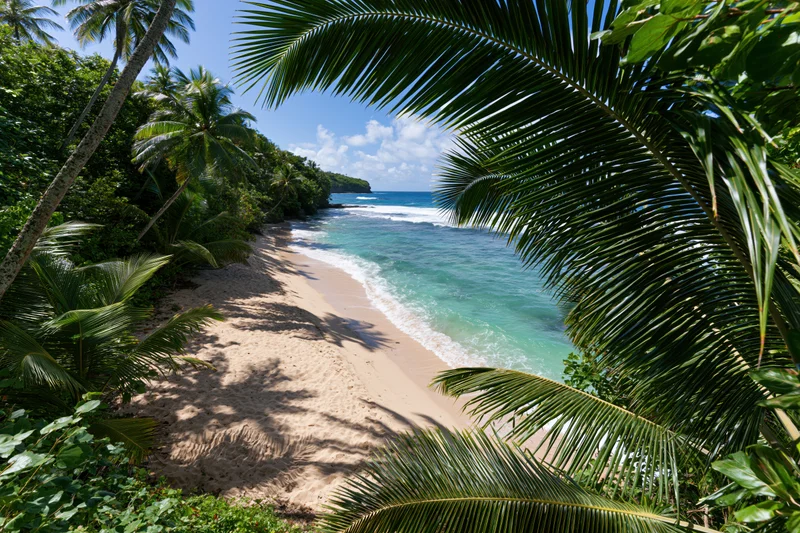 Tropical beach framed by palm fronds with turquoise ocean and sandy shore