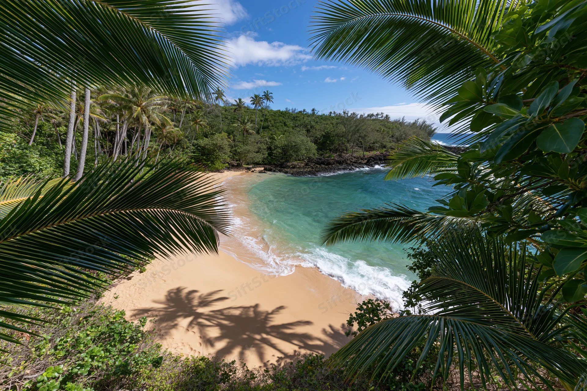 Tropical beach framed by palm fronds with turquoise water and sandy shore under blue sky