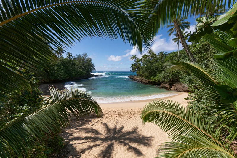Tropical beach framed by palm fronds leading to turquoise ocean and sandy shore