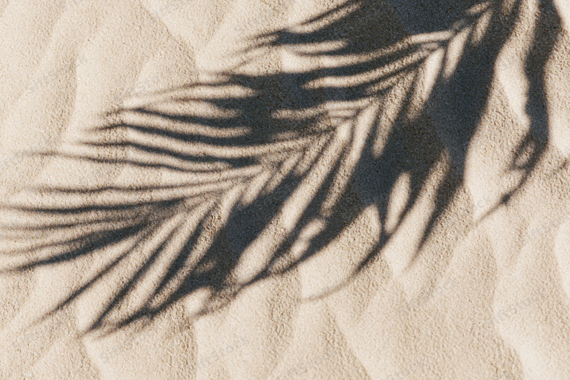 Shadow of palm leaf on sandy beach under sunlight